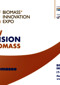 Guida_Biomasse_BIE_2020.pdf