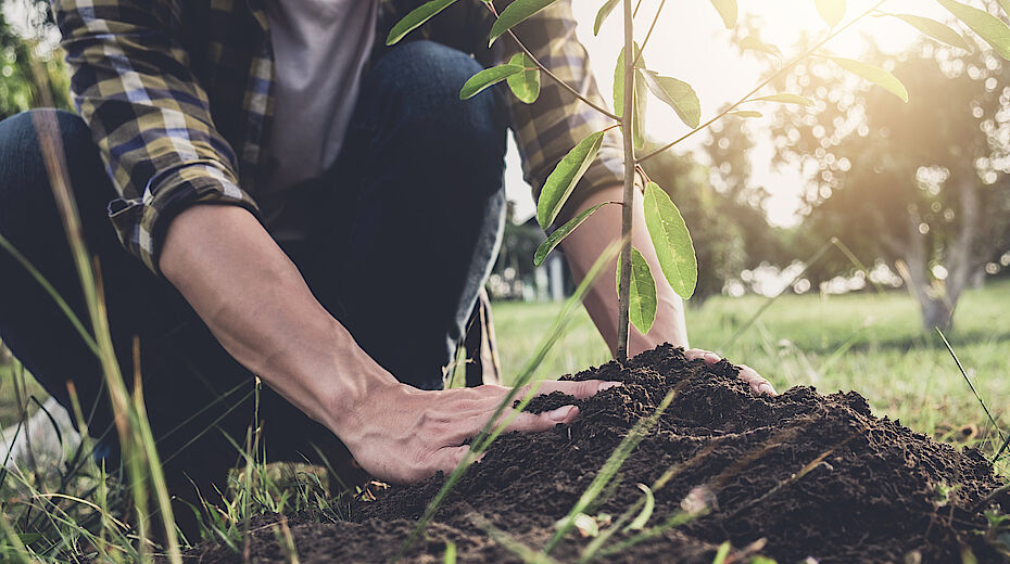 Verde urbano: come verranno usate le risorse del Pnrr?