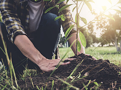 Verde urbano: come verranno usate le risorse del Pnrr?