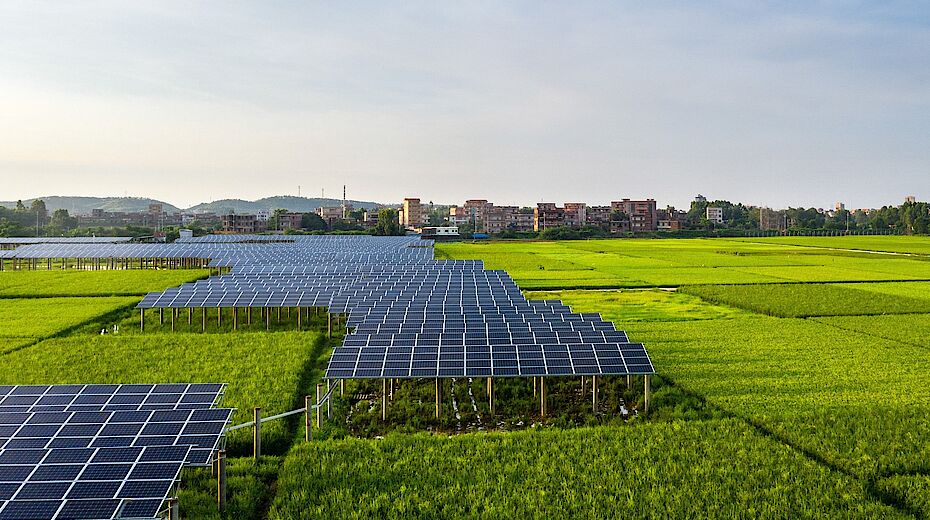 Agrivoltaico: pubblicato il decreto, ecco i dettagli